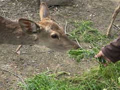 -观唐（国际）度假村温泉