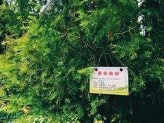 -晓港公园