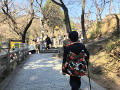 -灵岩山风景区