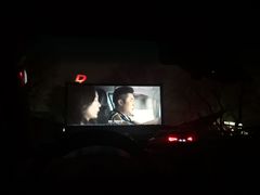 -枫花园汽车电影院(朝阳公园店)