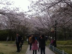 -范蠡湖公园