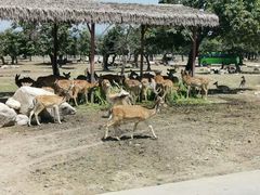 -西安秦岭野生动物园