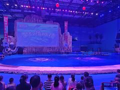 -华夏文旅海洋公园