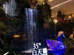 景观位-白天鹅宾馆·流浮阁咖啡厅