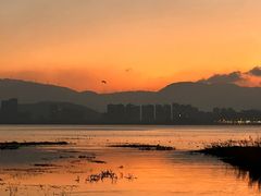 -洱海月湿地公园