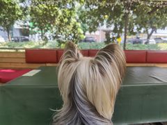 -JUKEBOX玖部音乐餐厅(华侨城店)