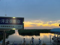-白洋淀景区