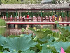 -西海子公园