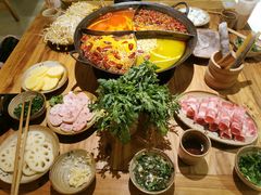 -白乐天毛肚火锅馆(解放碑店)