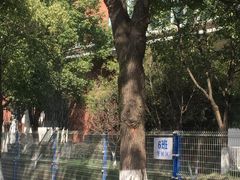 -苏州工业园区星湾学校