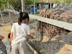 -新塘水果乐园(东洲大道店)