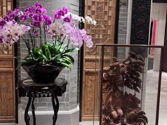 -龙悦湾酒家·八阵鱼生·渔人码头店