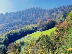 -敬亭山风景名胜区