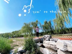 -大兴滨河森林公园