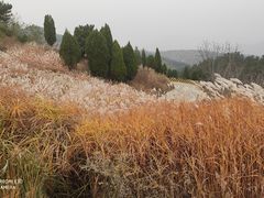-锦屏山旅游度假区