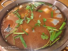 -新凯里酸汤鱼(飞山街店)