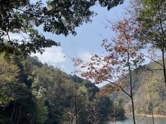 -广州市石门国家森林公园