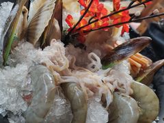 -丽江庭院之爱在路上(西单店)