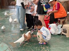 -西霞口神雕山野生动物世界