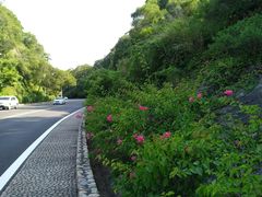 -仙岳公园