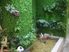 -松坂屋日料自助(长城路店)