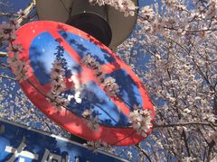 -首都师范大学科德学院
