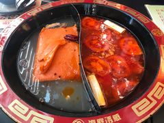 -海底诱惑(中骏世界城店)