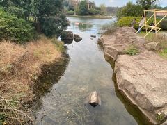 -宜兴龙背山森林公园
