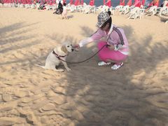 -美联众合动物医院·24h京西诊疗中心