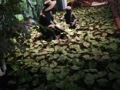 -长春农博园