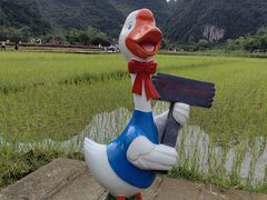 -靖西鹅泉风景区