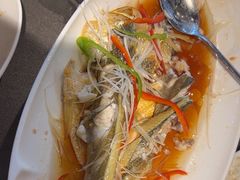 -前海沿·青岛菜(大拇指广场石老人店)