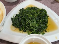 -张家港金凤凰度假村温泉