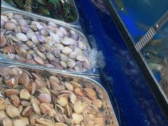 -苏格里岛自助海鲜烤肉(青秀万达店)