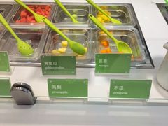 -Salud撒露欧洲冻酸奶(蓝色港湾店)