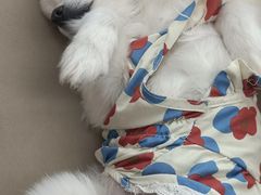 -怪兽屋·羊驼·猫咖·狗咖(俊华广场店)