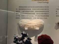 -湖南省地质博物馆