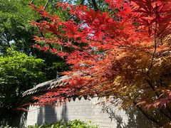 -西安华清御汤酒店