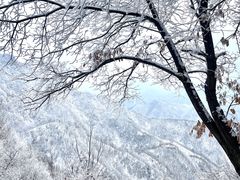 -抱龙峪