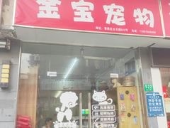-金宝宠物