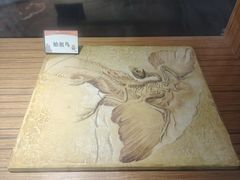 -六合国家地质公园桂子山景区