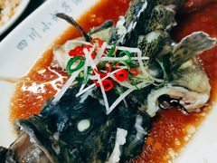 石斑鱼清蒸-四川小胡子海鲜(丁村万人海鲜广场店)