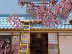 -Blue Concept Cafe&Farm·關於藍