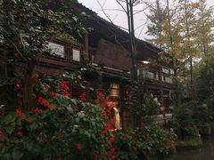 -青城甲(青城山店)