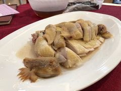 -金苑海鲜酒家(新港中路店)