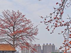 -喜洲吧·江畔老船厂·庭院餐厅(喜临院店)