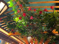 -老广酒楼(樱花店)