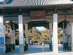 -团结湖公园