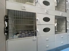-万博宠物医院·手术·诊疗(未央凤城五路店)