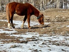 -云座·时光·观景咖啡厅(五爷庙店)